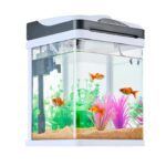 2 Gallon Fish Tank Aquarium LED Smart Square Clear Glass 7 Color Self Cleaning - Image 5