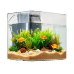 3.5 Gallon Fish Tank Aquarium Smart Arch Clear GPPS 3 Color Self Cleaning - Image 6