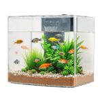 3.5 Gallon Fish Tank Aquarium Smart Arch Clear GPPS 3 Color Self Cleaning - Image 5
