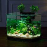 3.5 Gallon Fish Tank Aquarium Smart Arch Clear GPPS 3 Color Self Cleaning